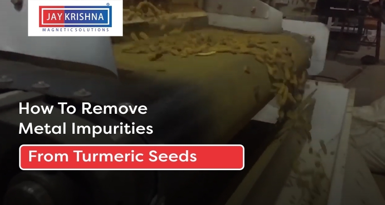 clean-turmeric-seeds-jkmagnetic